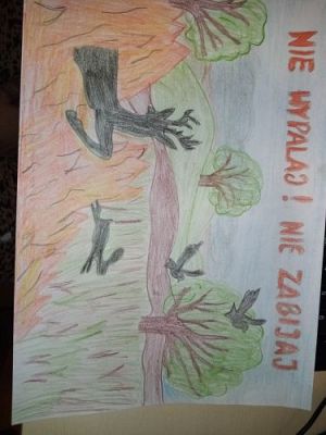 Grafika #37: 2023-2024