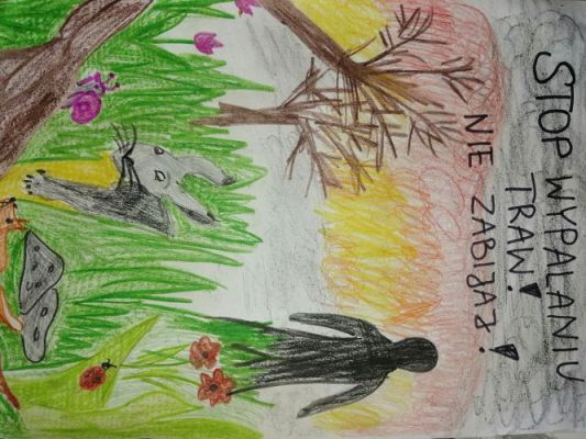 Grafika #50: 2023-2024