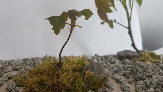 Grafika #8: prace uczniów klasy 6