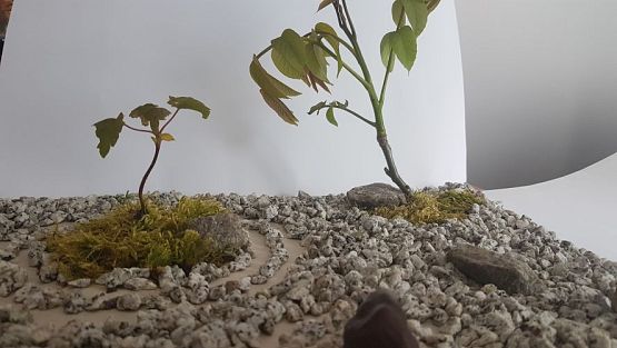 Grafika #10: prace uczniów klasy 6