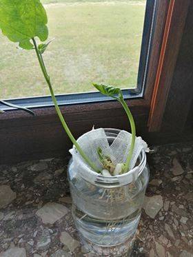 Grafika #13: Nauka zdalna - oddział przedszkolny