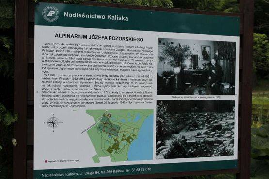 Grafika #7: Wycieczka do arboretum w Wirtach i do parku linowego w Szymbarku