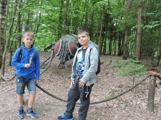 Grafika #53: Wycieczka z j. kaszubskiego do Stryszej Budy