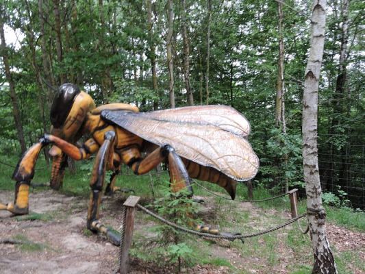 Grafika #55: Wycieczka z j. kaszubskiego do Stryszej Budy