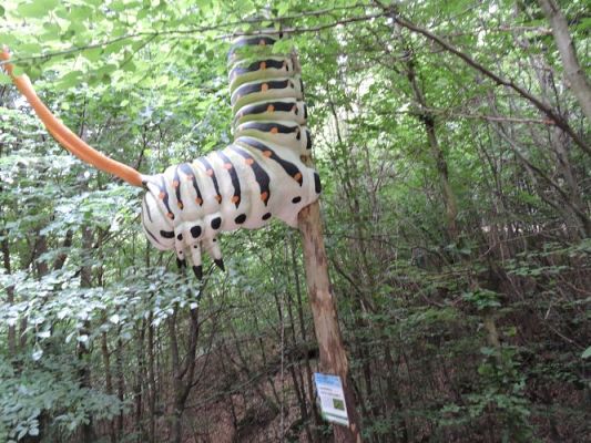 Grafika #56: Wycieczka z j. kaszubskiego do Stryszej Budy