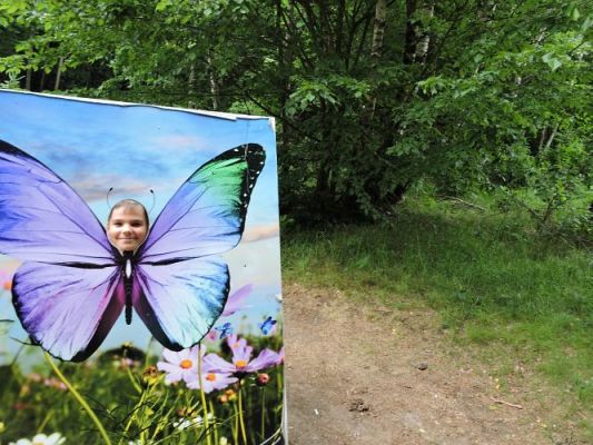 Grafika #57: Wycieczka z j. kaszubskiego do Stryszej Budy