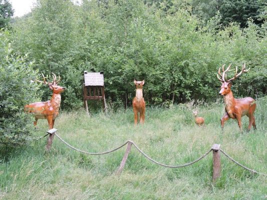 Grafika #58: Wycieczka z j. kaszubskiego do Stryszej Budy