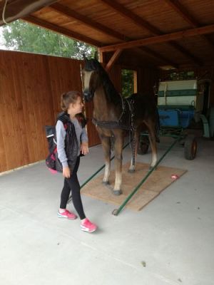 Grafika #4: Wycieczka z j. kaszubskiego do Stryszej Budy