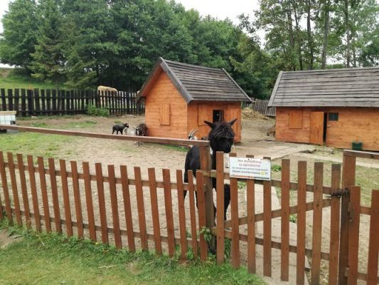 Grafika #15: Wycieczka z j. kaszubskiego do Stryszej Budy