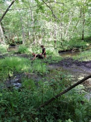 Grafika #11: Biwak w Runowie