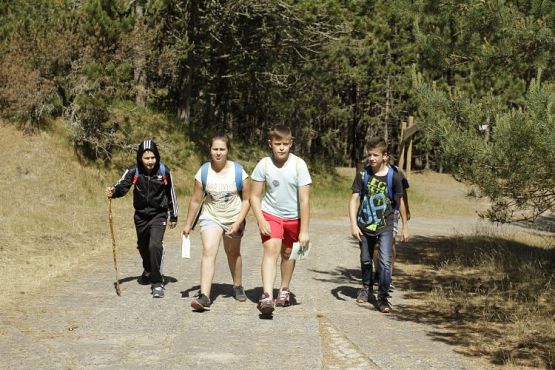 Grafika #21: XIII Słowiński Turniej Ekologiczny o Puchar Dyrektora Parku