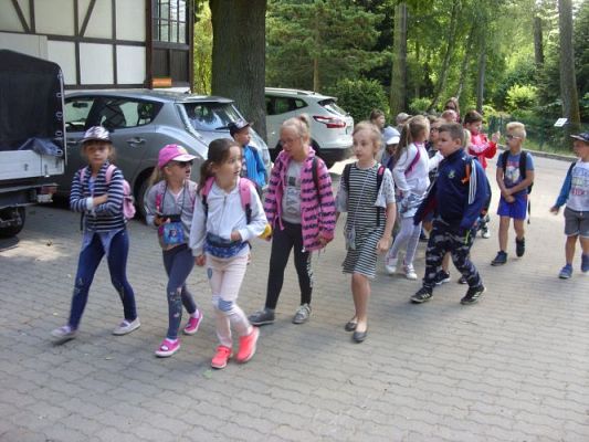 Grafika #6: Wycieczka kl. O-III do zoo