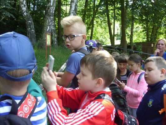 Grafika #14: Wycieczka kl. O-III do zoo