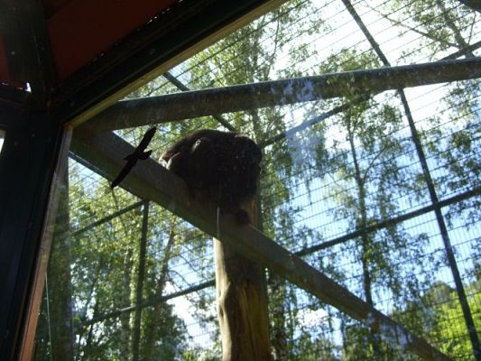 Grafika #15: Wycieczka kl. O-III do zoo