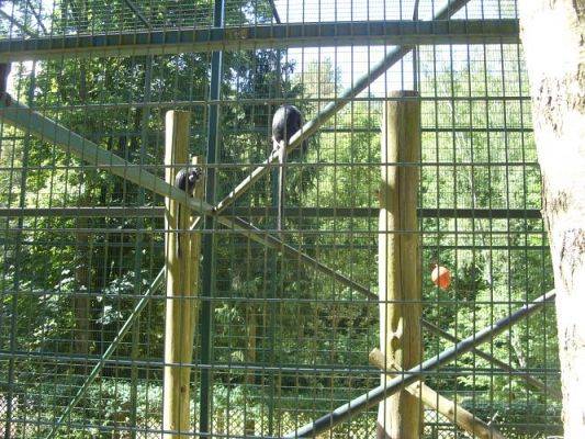 Grafika #17: Wycieczka kl. O-III do zoo