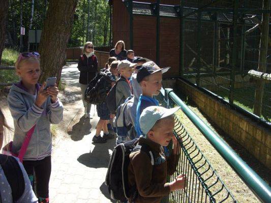 Grafika #18: Wycieczka kl. O-III do zoo