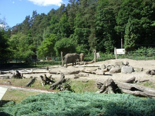 Grafika #20: Wycieczka kl. O-III do zoo