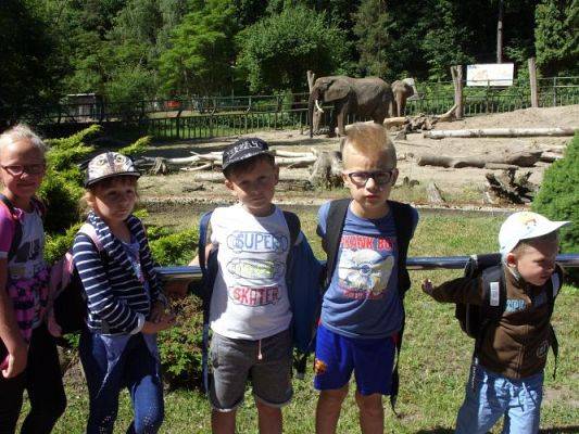 Grafika #22: Wycieczka kl. O-III do zoo