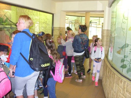 Grafika #26: Wycieczka kl. O-III do zoo