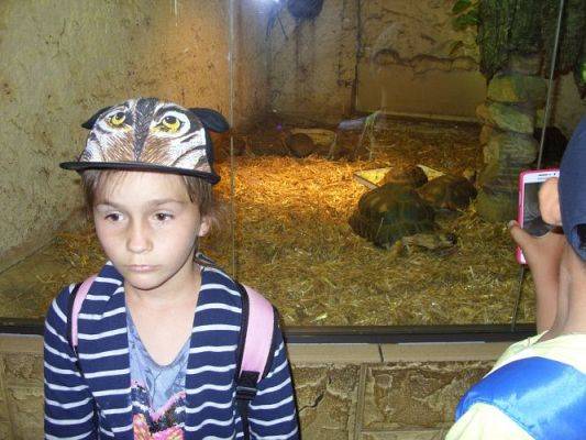 Grafika #28: Wycieczka kl. O-III do zoo