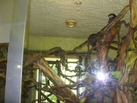 Grafika #29: Wycieczka kl. O-III do zoo