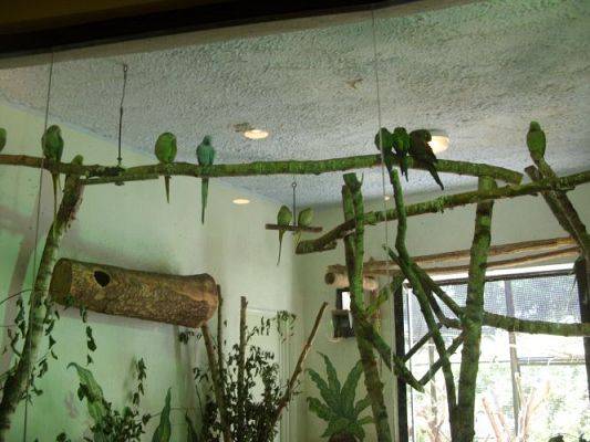 Grafika #32: Wycieczka kl. O-III do zoo