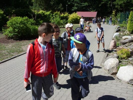 Grafika #36: Wycieczka kl. O-III do zoo