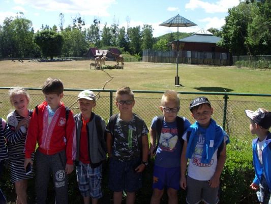 Grafika #39: Wycieczka kl. O-III do zoo