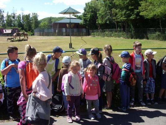 Grafika #41: Wycieczka kl. O-III do zoo