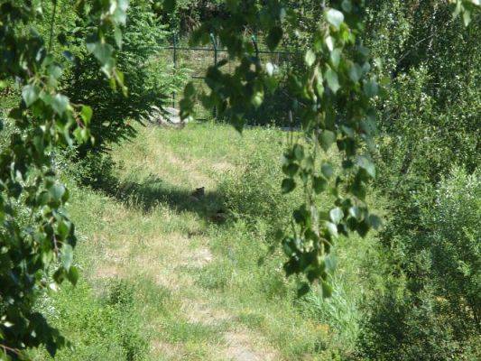 Grafika #46: Wycieczka kl. O-III do zoo