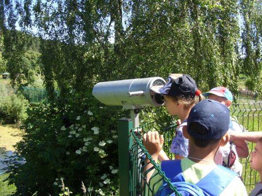 Grafika #47: Wycieczka kl. O-III do zoo