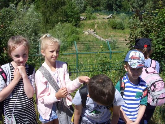 Grafika #50: Wycieczka kl. O-III do zoo