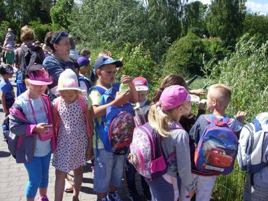 Grafika #51: Wycieczka kl. O-III do zoo