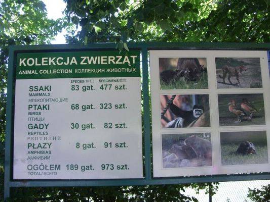 Grafika #56: Wycieczka kl. O-III do zoo