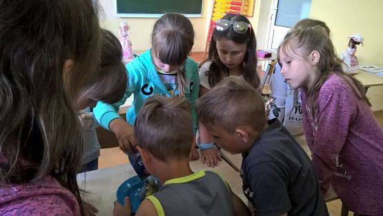 Grafika #75: Drugoklasiści przed wakacjami