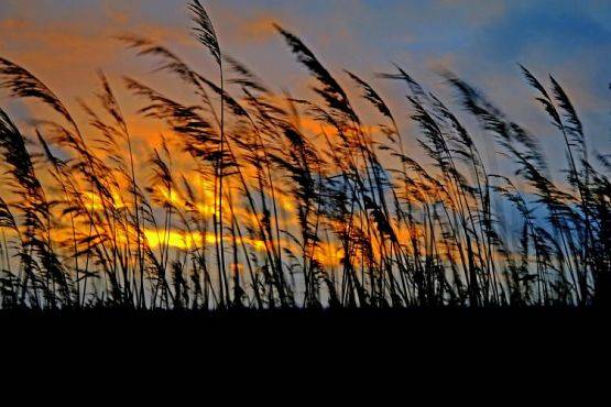 Grafika #1: Rozstrzygnięcie X Wojewódzkiego Konkursu Fotograficznego pt. Świat nas dzieli, miłość nas łączy