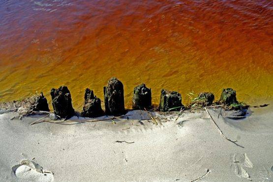 Grafika #2: Rozstrzygnięcie X Wojewódzkiego Konkursu Fotograficznego pt. Świat nas dzieli, miłość nas łączy