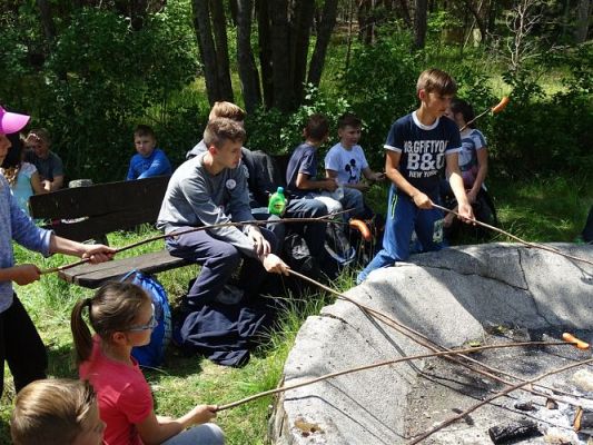 Grafika #12: XII Słowiński Turniej Ekologiczny o Puchar Dyrektora SPN