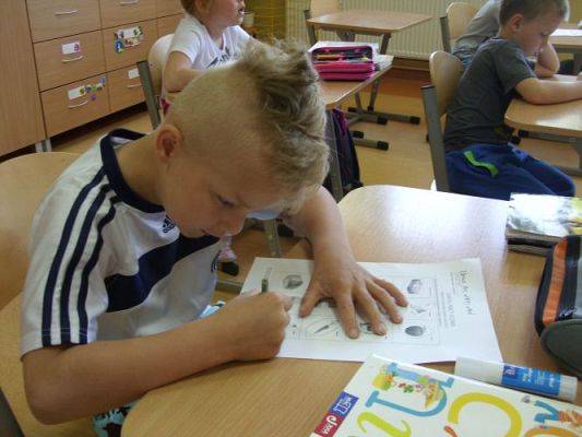 Grafika #18: Piramida Zdrowia Pierwszoklasisty