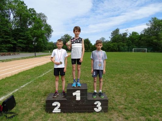 Grafika #2: Gminne zawody w L.A.