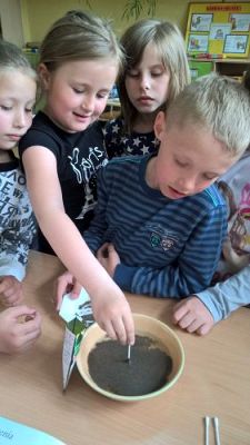 Grafika #29: Majowe dni w drugiej klasie