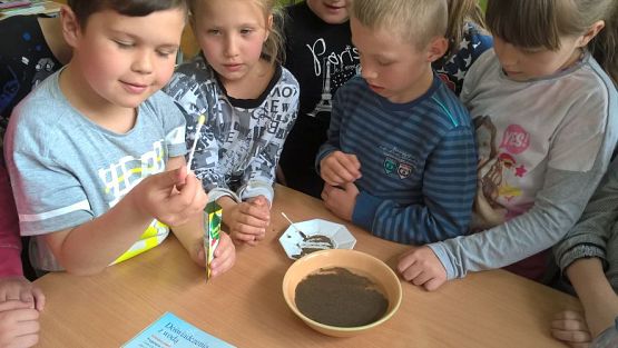 Grafika #30: Majowe dni w drugiej klasie