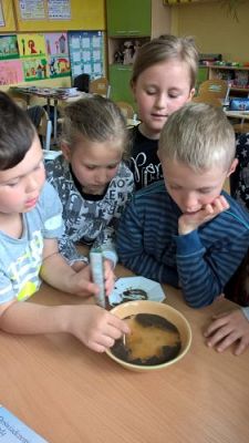 Grafika #33: Majowe dni w drugiej klasie