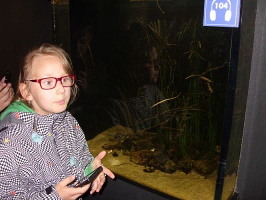 Grafika #5: WIZYTA W GDYŃSKIM OCEANARIUM