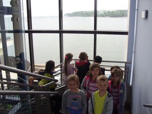 Grafika #9: WIZYTA W GDYŃSKIM OCEANARIUM