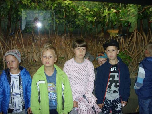 Grafika #10: WIZYTA W GDYŃSKIM OCEANARIUM