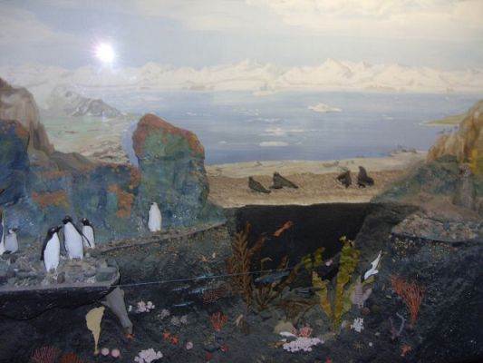 Grafika #12: WIZYTA W GDYŃSKIM OCEANARIUM