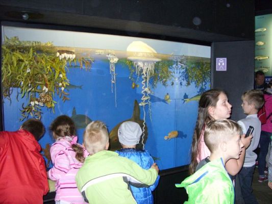 Grafika #13: WIZYTA W GDYŃSKIM OCEANARIUM