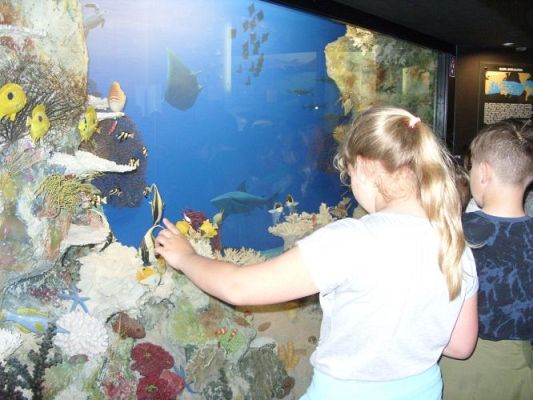 Grafika #15: WIZYTA W GDYŃSKIM OCEANARIUM