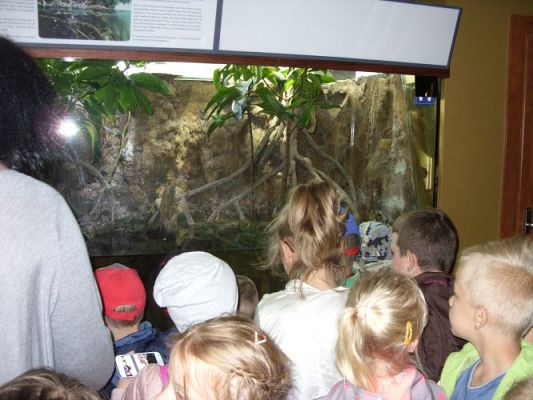 Grafika #19: WIZYTA W GDYŃSKIM OCEANARIUM